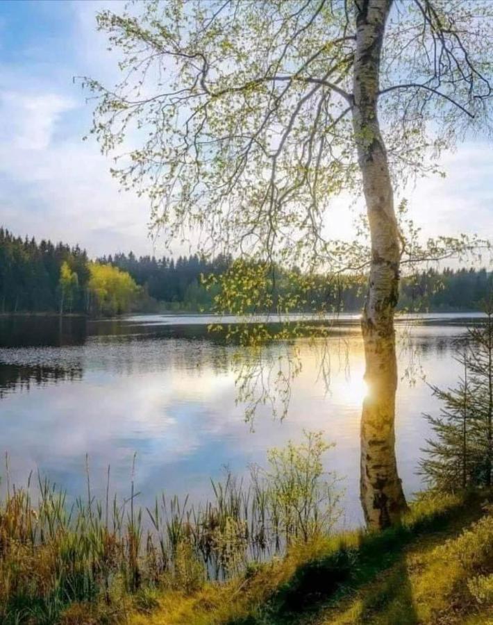 Stilingi Apartamentai Su Virtuve Traku Miesto Centre Trakai Exteriör bild