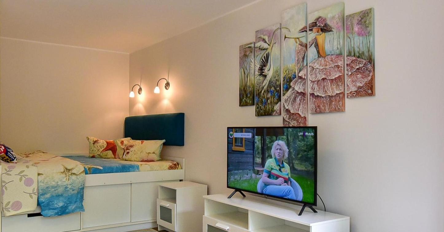 Stilingi Apartamentai Su Virtuve Traku Miesto Centre Trakai Exteriör bild
